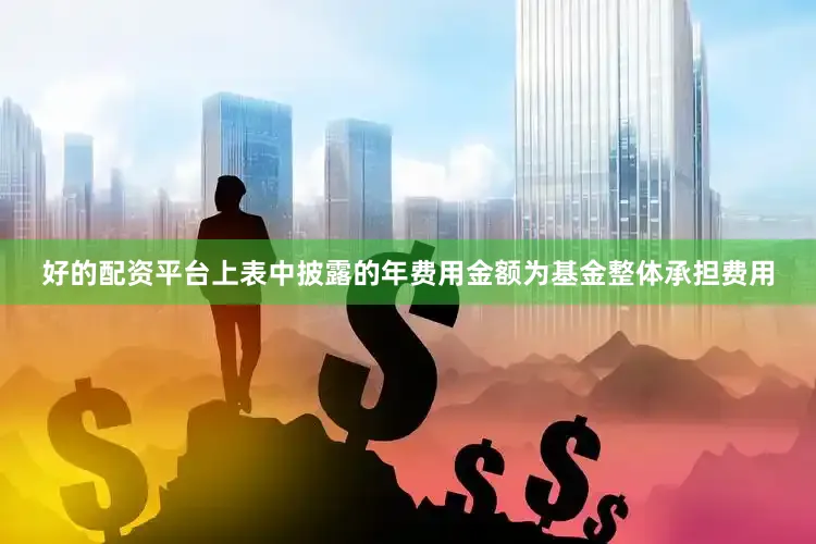 好的配资平台上表中披露的年费用金额为基金整体承担费用
