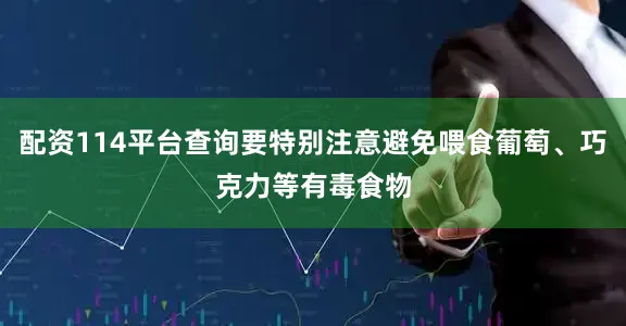 配资114平台查询要特别注意避免喂食葡萄、巧克力等有毒食物
