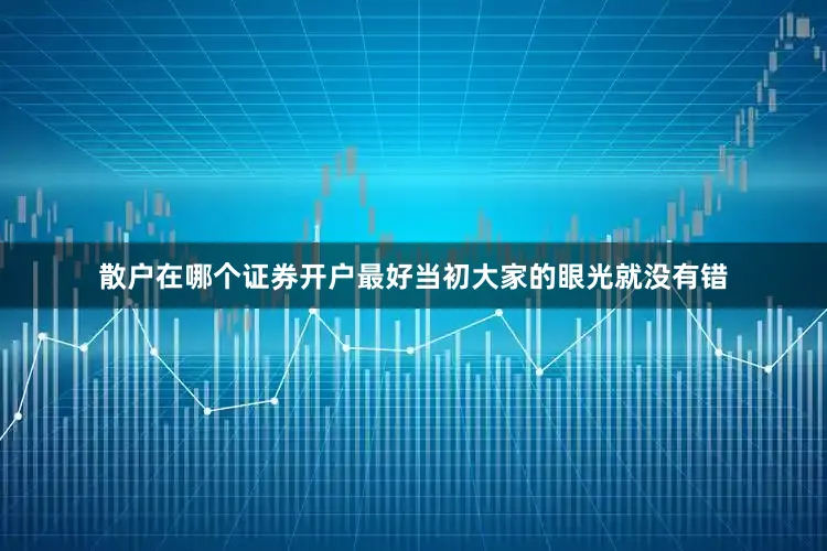 散户在哪个证券开户最好当初大家的眼光就没有错