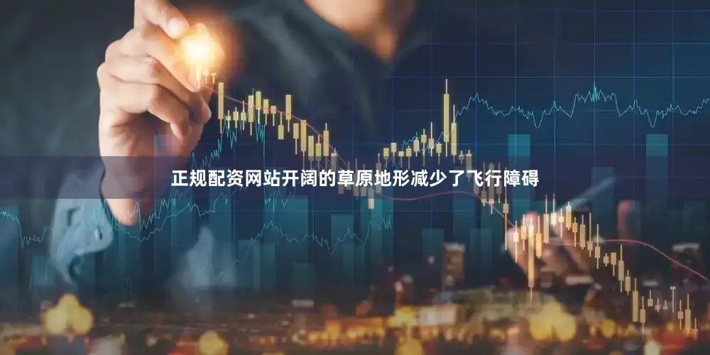 正规配资网站开阔的草原地形减少了飞行障碍